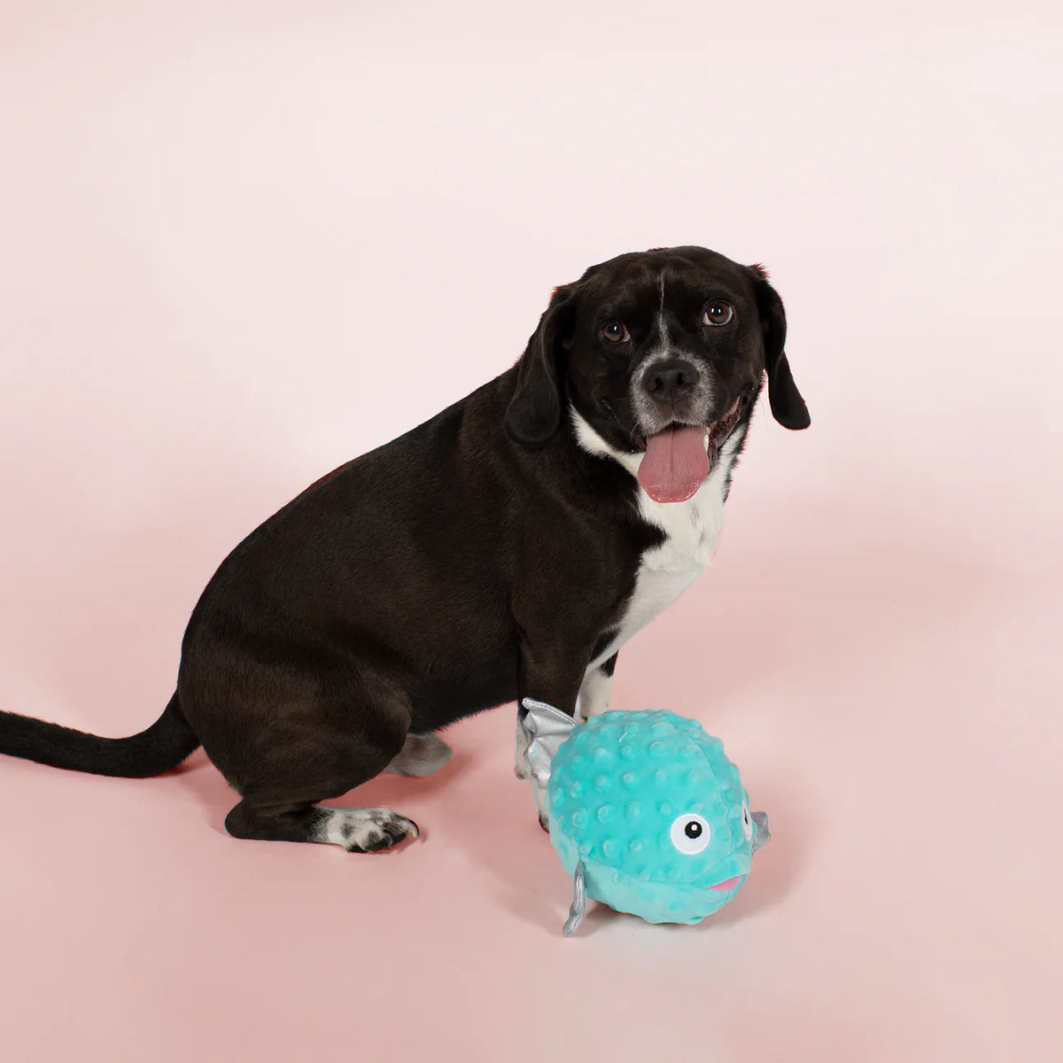 Puffed Up Puffer Fish Plush Toy