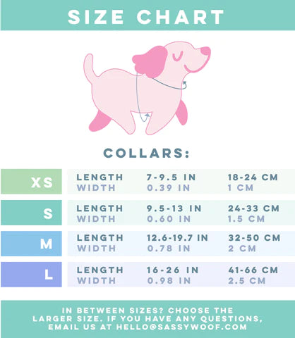Collar - Summer Sorbet
