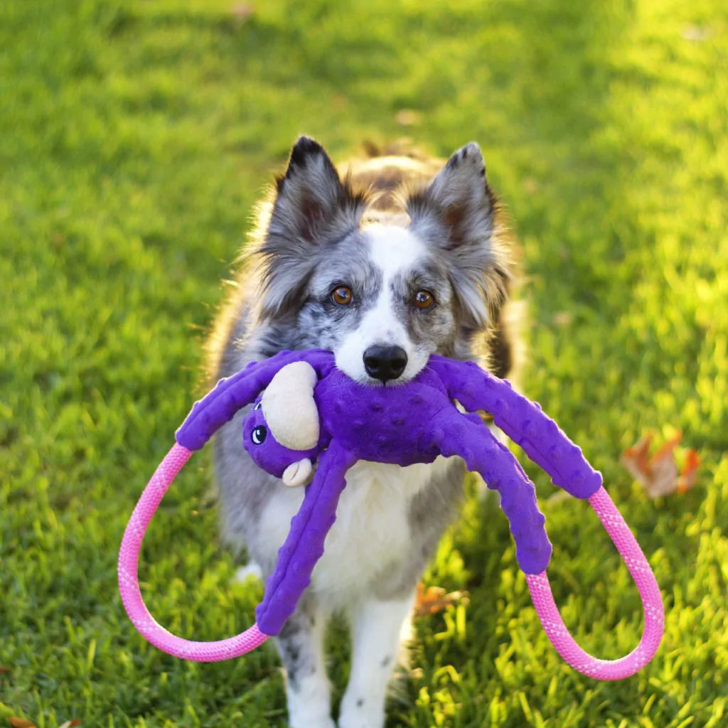 Monkey Rope Tugz