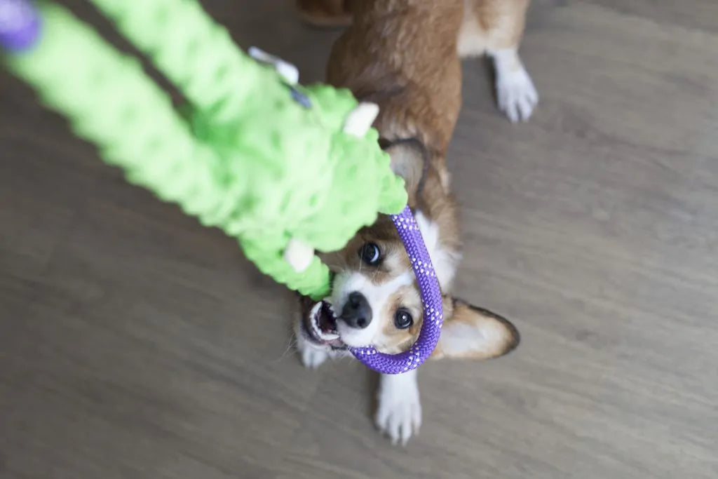 Monkey Rope Tugz