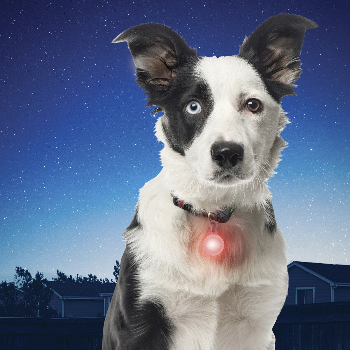 Nite Ize SpotLit Collar Light - Red