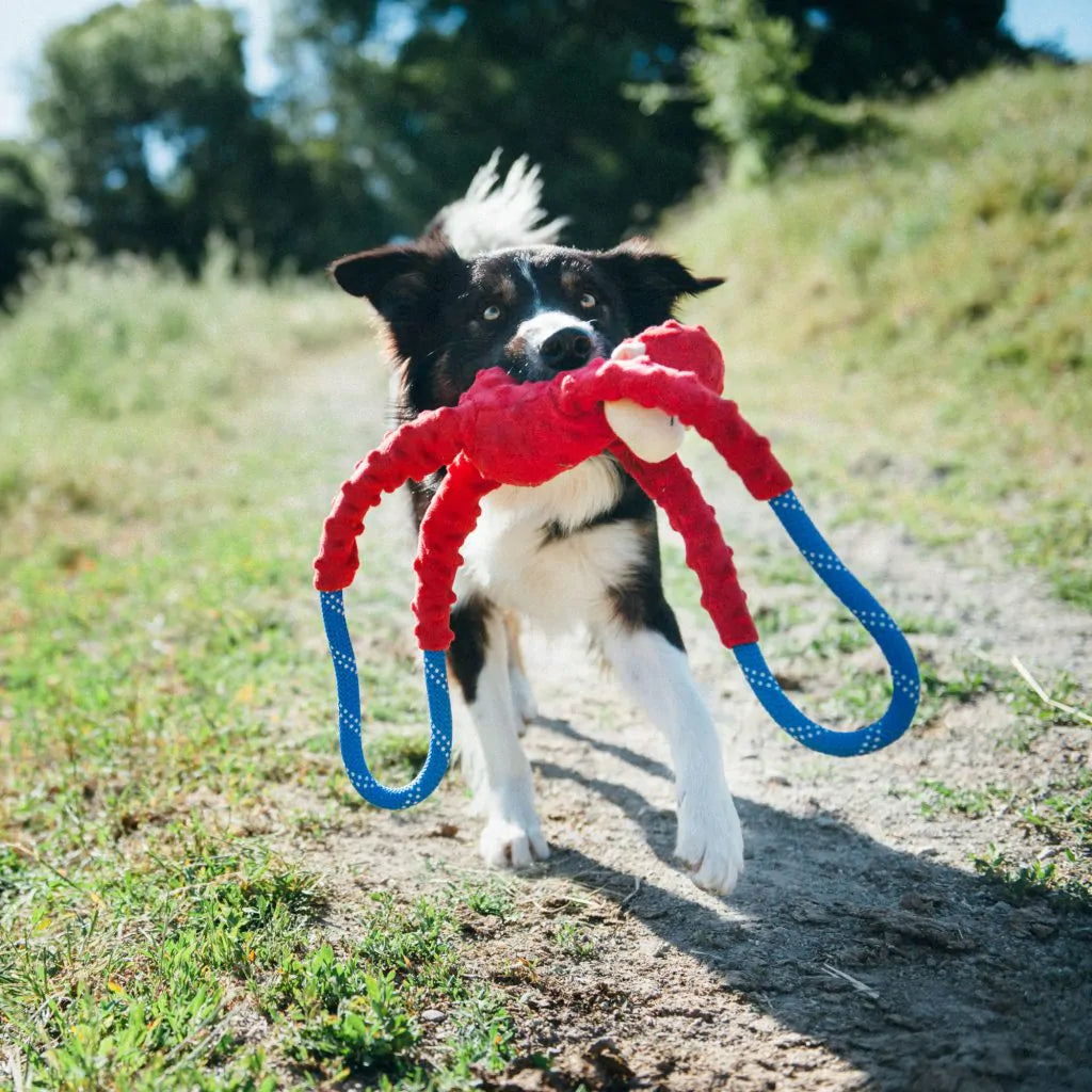 Monkey Rope Tugz