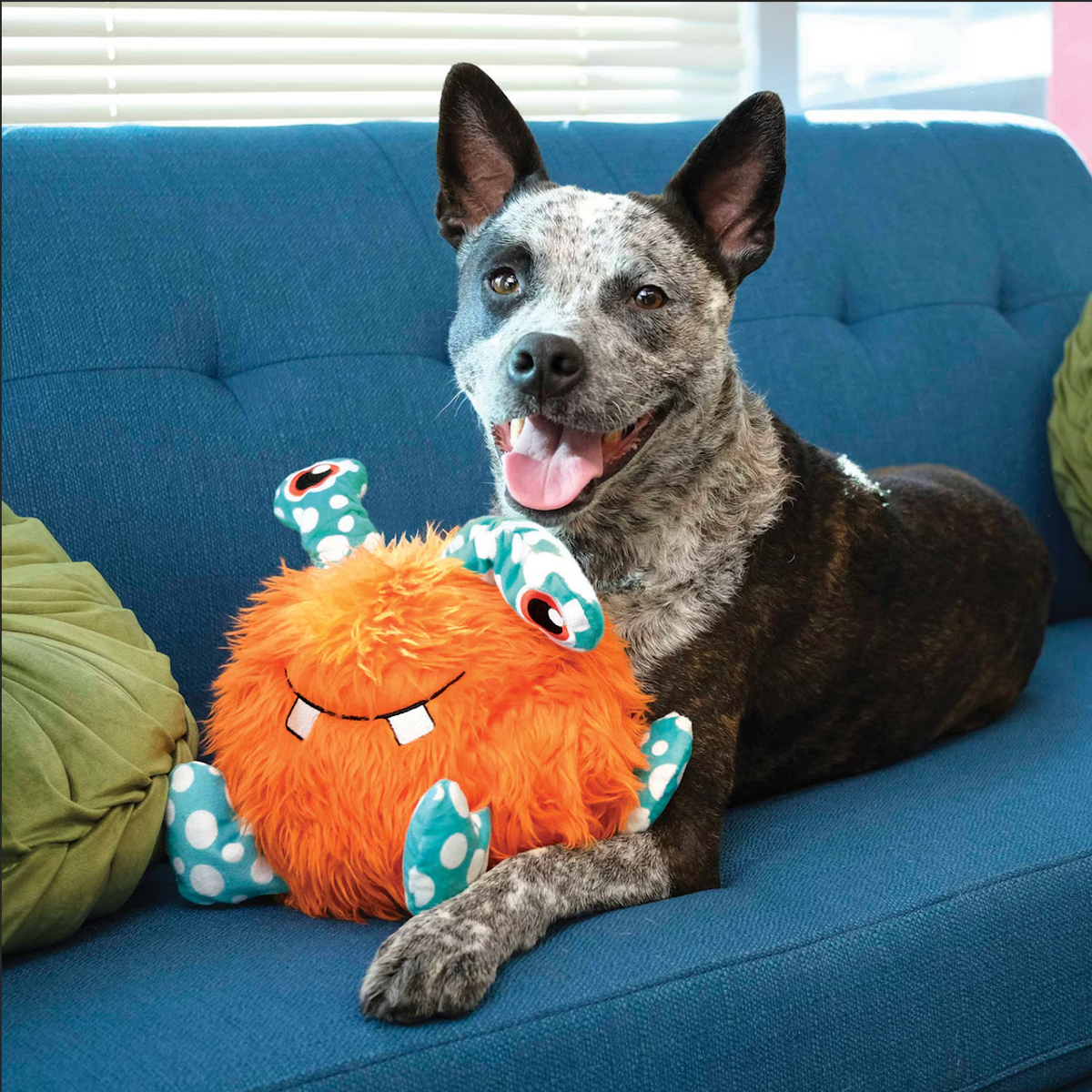 KONG Whipples Dog Plush XL