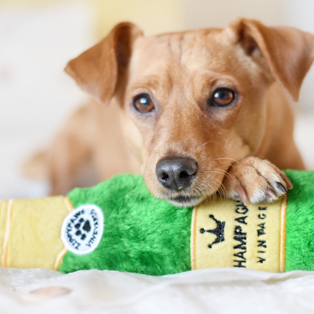 Zippy Paws Happy Hour Crusherz Champagne