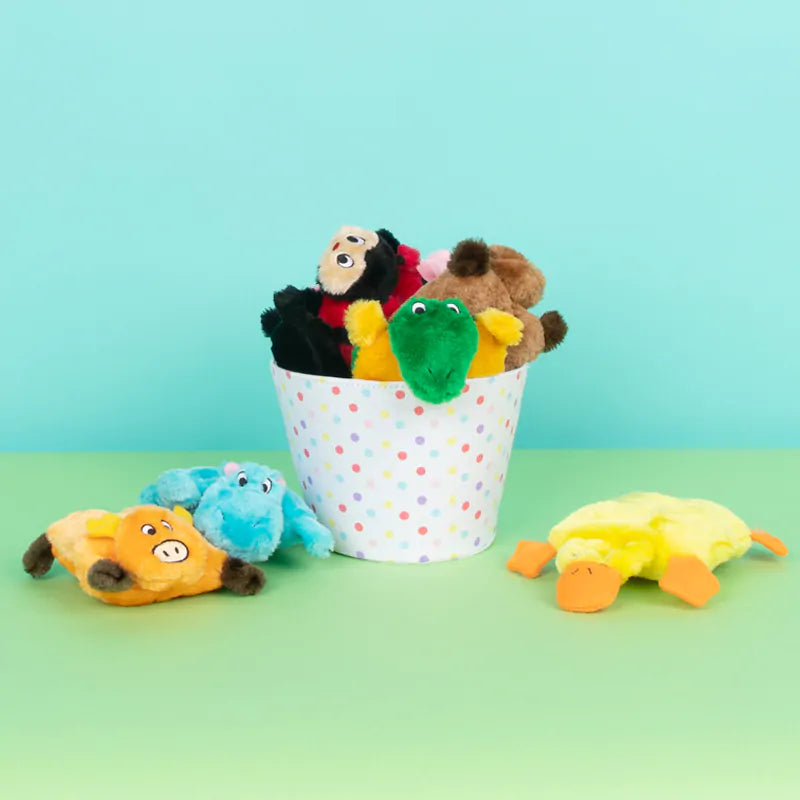 Squeakie Pad Toy (2 Pack)