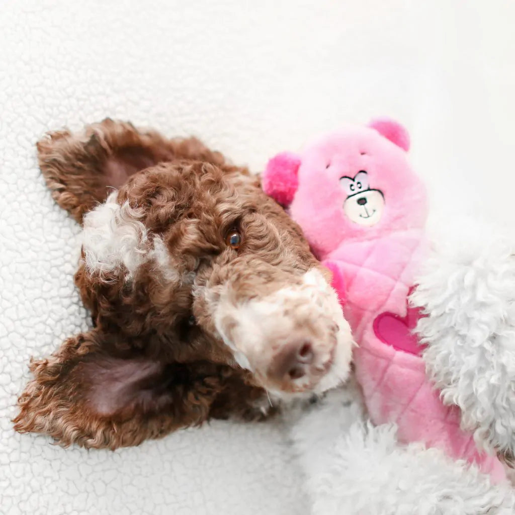 Jigglerz Pink Bear