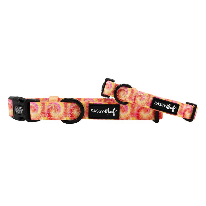 Collar - Summer Sorbet