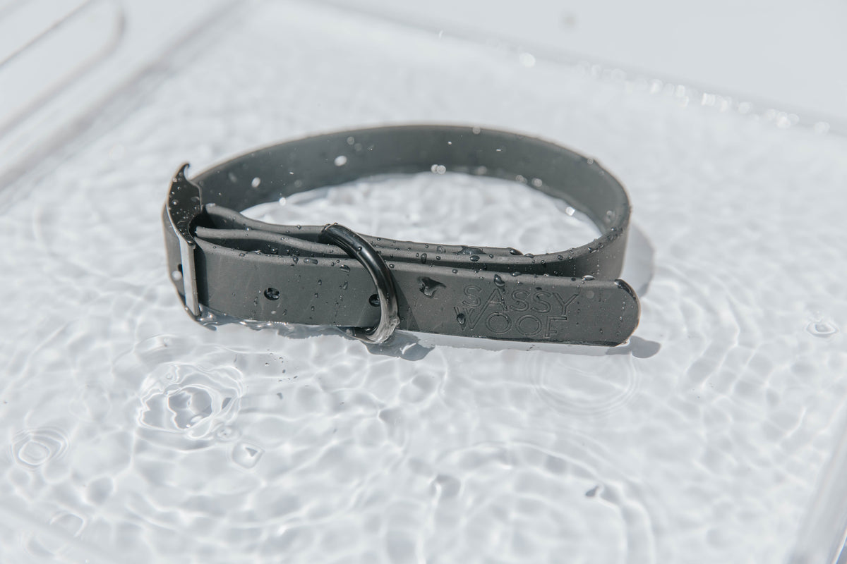 Collar Negro - Waterproof