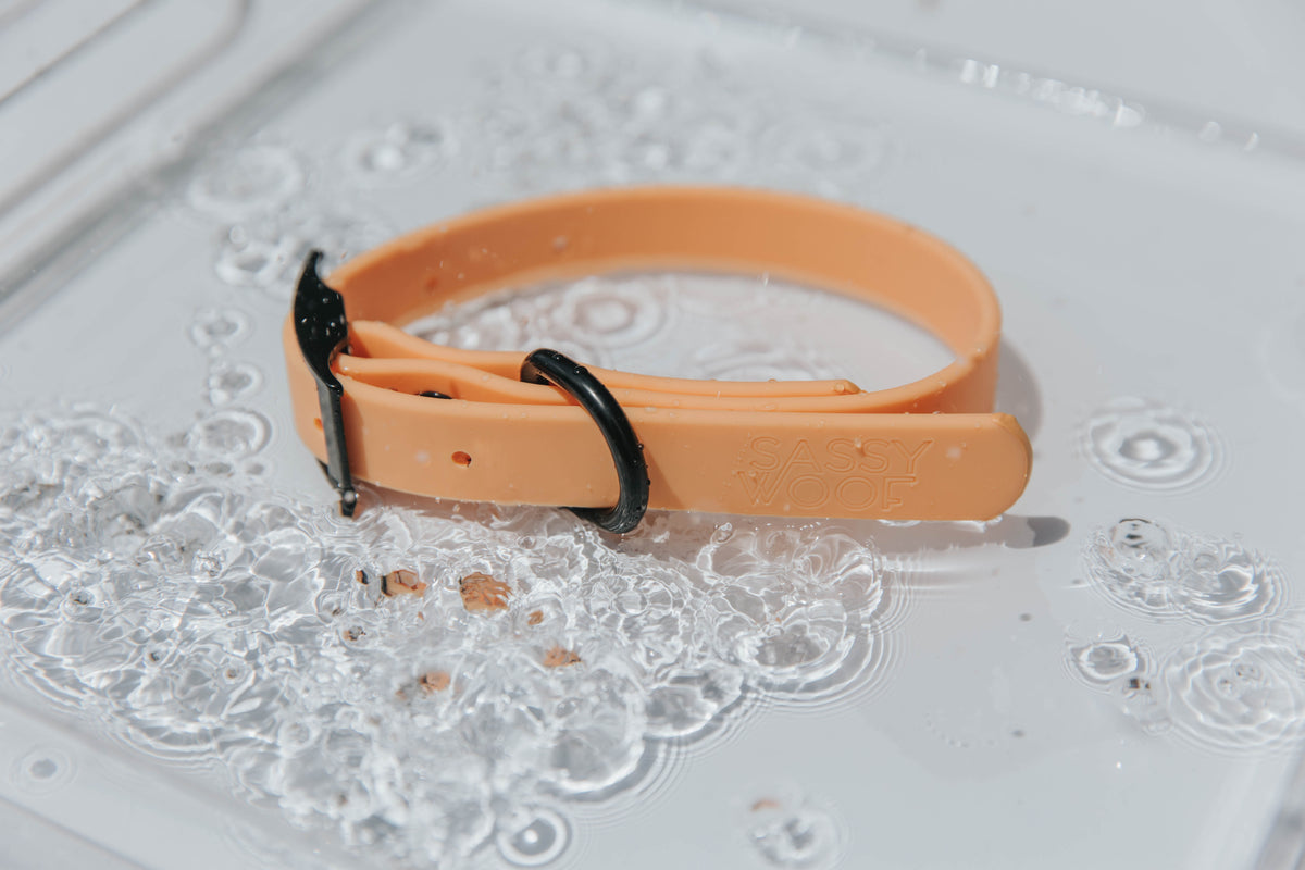 Collar Naranja - Waterproof